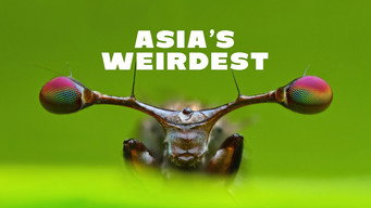 #11 Asia's Weirdest