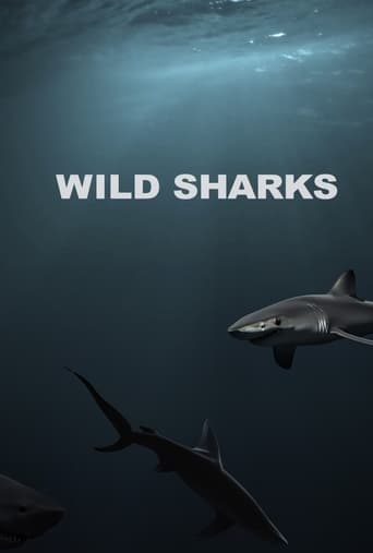 Wild Sharks en streaming 