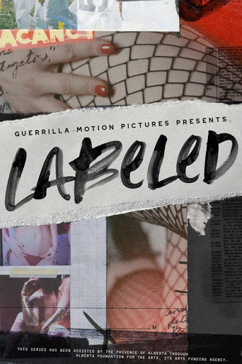 Affiche de Labeled