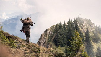 Wild (2021)