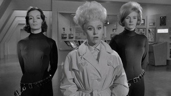 #5 Carry On Spying