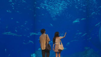 第2話:Episode 2 第2話:Episode 2