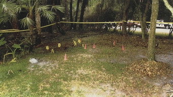 Hog Trail Murders