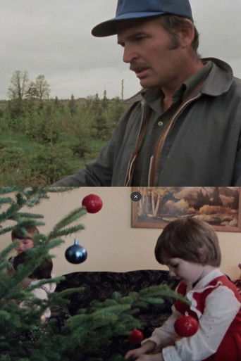 Arbres de Noël à vendre poster