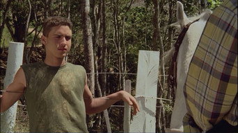 Sicario (1995)