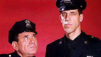 Car 54, Where Are You? (1961-1963)