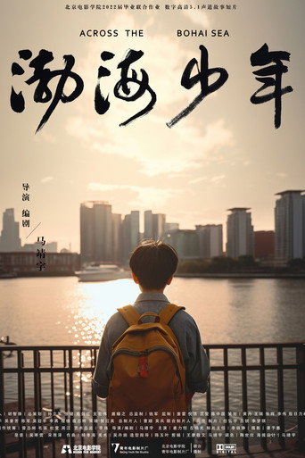 Cartell de 渤海少年