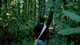 Still 1 from The Labyrinth