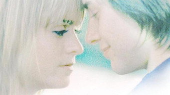 Кульбабка (2004)