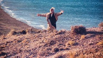 Wild Horses (1995)