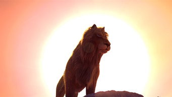 Lion media image