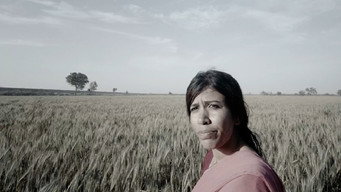 Indus Echoes (2025)
