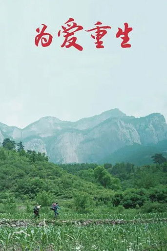为爱重生 poster
