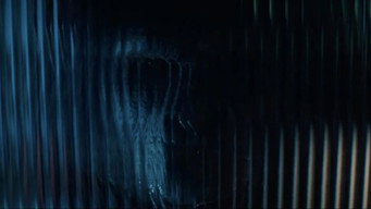 #34 Примат