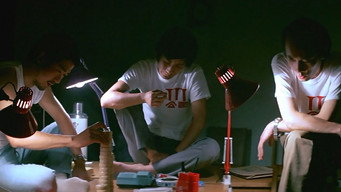The Troubleshooters (1989)