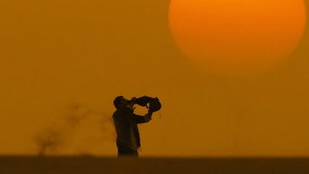 #15 Khaleja
