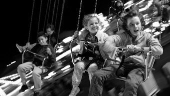 Spiderwebhouse media image