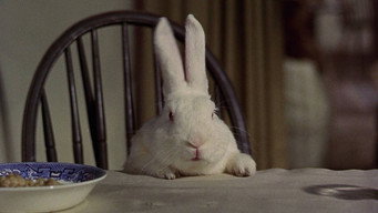 #27 Bedknobs and Broomsticks