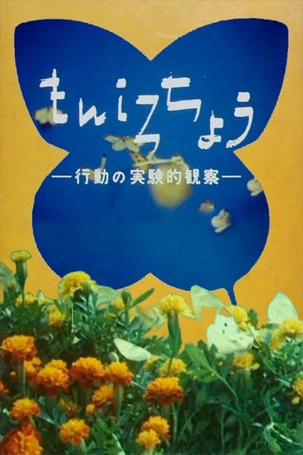 もんしろちょう-行動の実験的観察