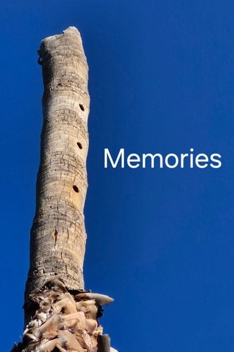 Memoirs: fragments of a true fiction poster
