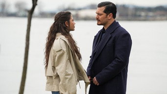 Episode 26 — Episode 39