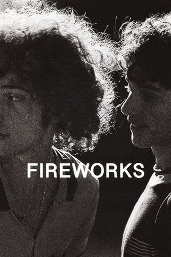 Fireworks — Posters 23