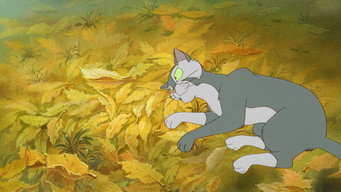 #15 Felidae