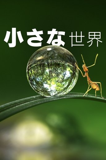 小さな世界