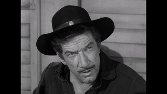 Have Gun, Will Travel T4E1