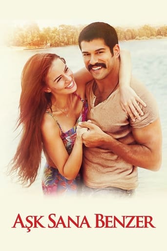 Poster of Un amor junto al mar