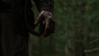 In a Violent Nature 2