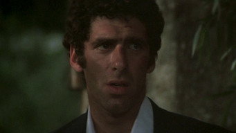 #18 The Long Goodbye