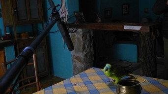 My Mother Is a Parrot (2016)