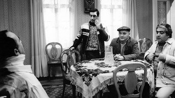 The Kidnapping of Groom (1985)