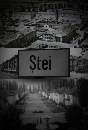 Ștei (1970)