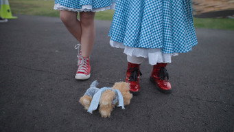 #1 It's Dorothy!