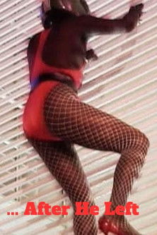 . . . After He Left poster