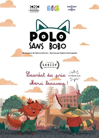 Polo sans bobo Polo sans bobo