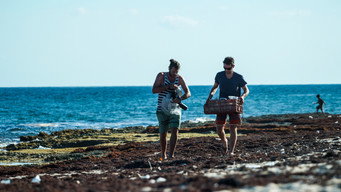 An Ocean Story (2019)