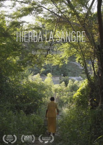 Hierba La Sangre poster