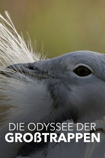 Die Odyssee der Großtrappen - Das Comeback der Riesenvögel (2021) Die Odyssee der Großtrappen - Das Comeback der Riesenvögel (2021)