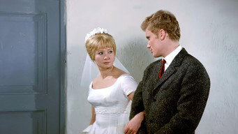 #42 The Marriage of Convenience