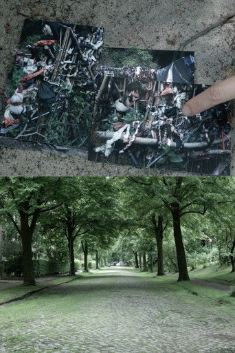 Seeing Like A Forest (2019)