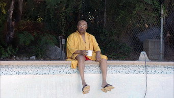 Swamp Dogg Gets His Pool Painted (2024)