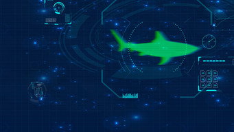 #6 Shark Below Zero