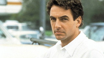 #7 The Deliberate Stranger
