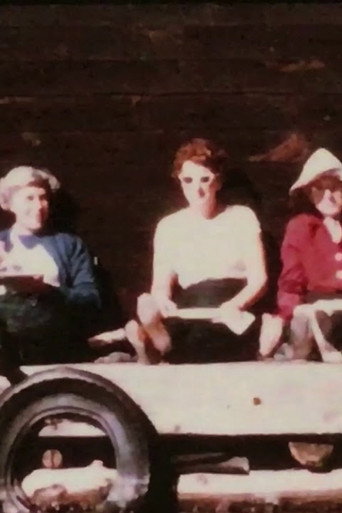 this year, here (2017)