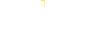 Hitler's Last Year logo