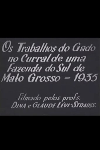 Cattle Work in the Corral of a Farm in Southern Mato Grosso (1935)