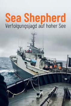Sea Shepherd - Verfolgungsjagd auf hoher See